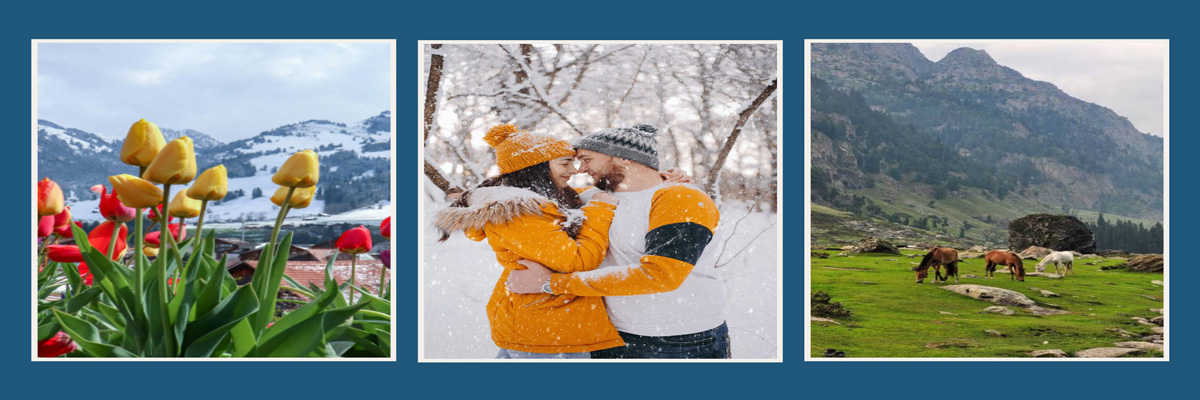 Kashmir Honeymoon Package - 5 Days