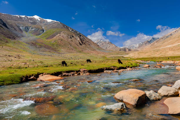 Magical Ladakh Tour Package for 7 Days - C Himalaya