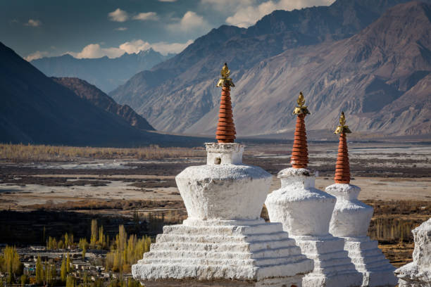 Leh Ladakh Tour Package for 04 Days - C Himalaya
